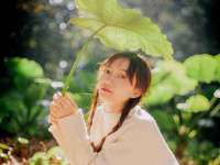 淮安市一草园林绿化工程有限公司