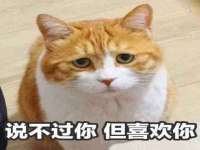 淮安市一草园林绿化工程有限公司