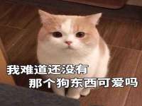 淮安市一草园林绿化工程有限公司