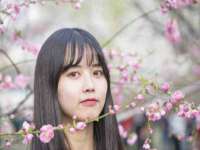 淮安市一草园林绿化工程有限公司