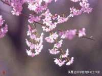 淮安市一草园林绿化工程有限公司