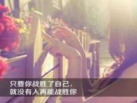 淮安市一草园林绿化工程有限公司