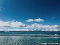 淮安市一草园林绿化工程有限公司