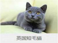 淮安市一草园林绿化工程有限公司
