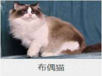 淮安市一草园林绿化工程有限公司