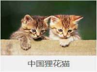 淮安市一草园林绿化工程有限公司