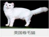 淮安市一草园林绿化工程有限公司