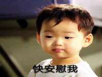 淮安市一草园林绿化工程有限公司