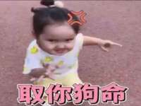 淮安市一草园林绿化工程有限公司