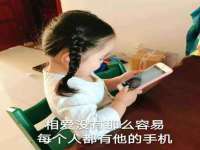 淮安市一草园林绿化工程有限公司