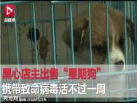 淮安市一草园林绿化工程有限公司