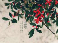淮安市一草园林绿化工程有限公司