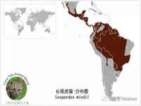 淮安市一草园林绿化工程有限公司