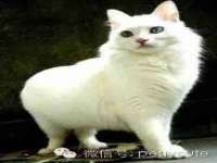 淮安市一草园林绿化工程有限公司