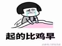 淮安市一草园林绿化工程有限公司