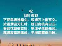 淮安市一草园林绿化工程有限公司