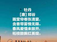 淮安市一草园林绿化工程有限公司
