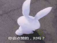 淮安市一草园林绿化工程有限公司