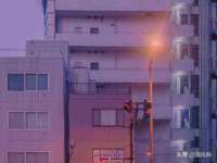 淮安市一草园林绿化工程有限公司