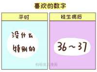 淮安市一草园林绿化工程有限公司