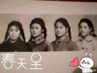 淮安市一草园林绿化工程有限公司