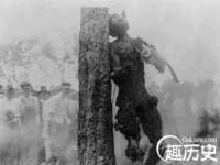 淮安市一草园林绿化工程有限公司
