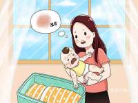 淮安市一草园林绿化工程有限公司