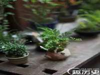 淮安市一草园林绿化工程有限公司