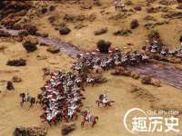 淮安市一草园林绿化工程有限公司