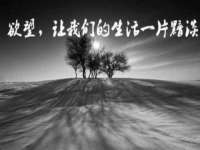 淮安市一草园林绿化工程有限公司