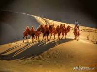 淮安市一草园林绿化工程有限公司