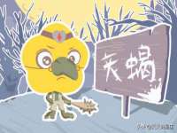 淮安市一草园林绿化工程有限公司