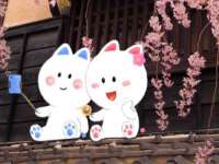 淮安市一草园林绿化工程有限公司