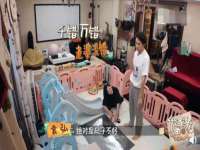 淮安市一草园林绿化工程有限公司
