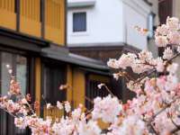 淮安市一草园林绿化工程有限公司
